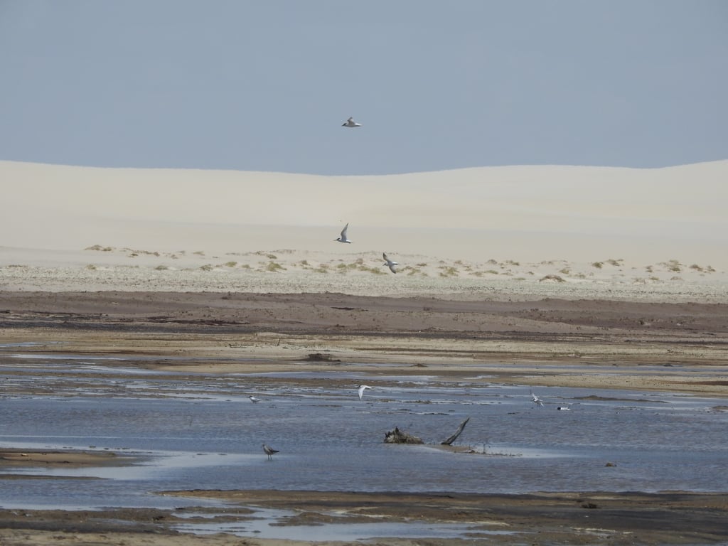 Lençóis Maranhenses