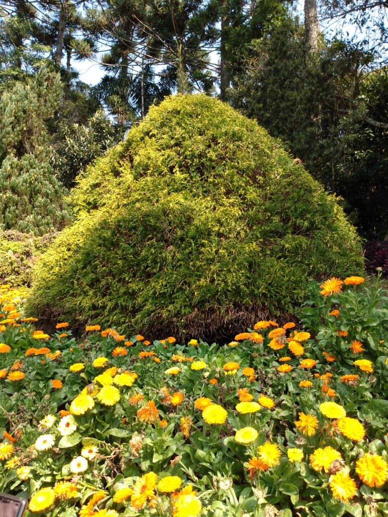 13/08 Santo Antonio do Pinhal e Jardins Temáticos EccoParque