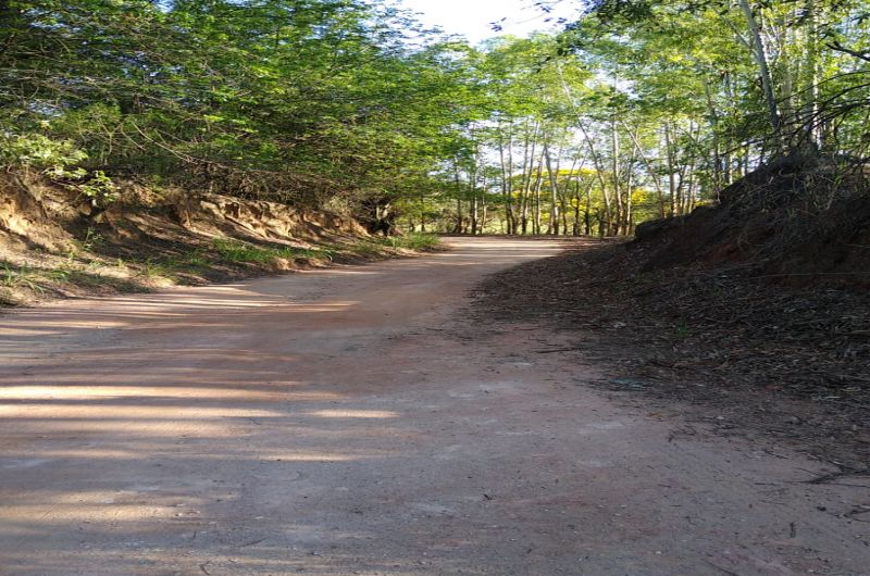 CAMINHO DE GOYAZES