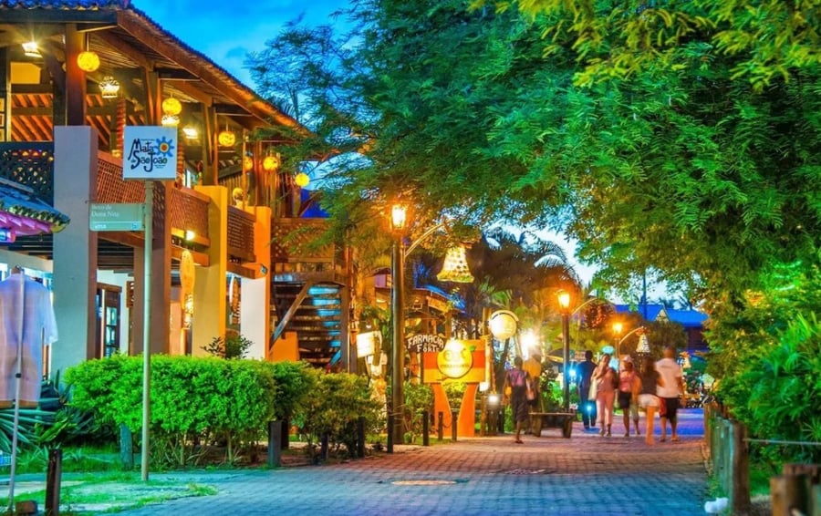 Passeio Praia do Forte e Guarajuba - Diário