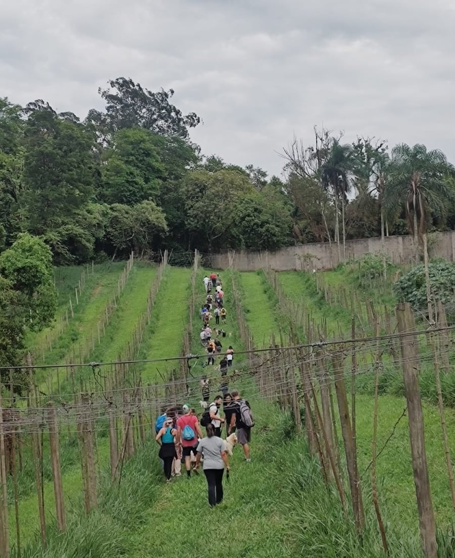 Trilha Pet + Degustação de Vinhos e Almoço na Vinícola Saccomani
