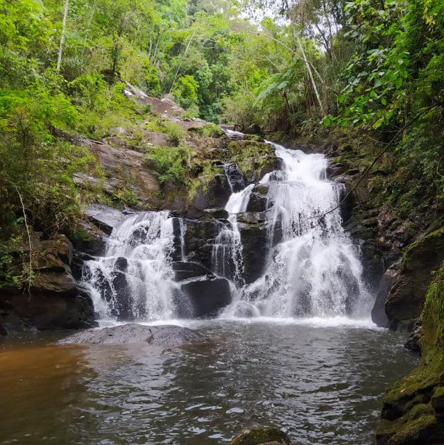 Cachoeira em degraus de rochas escuras cercada por mata densa e musgo
