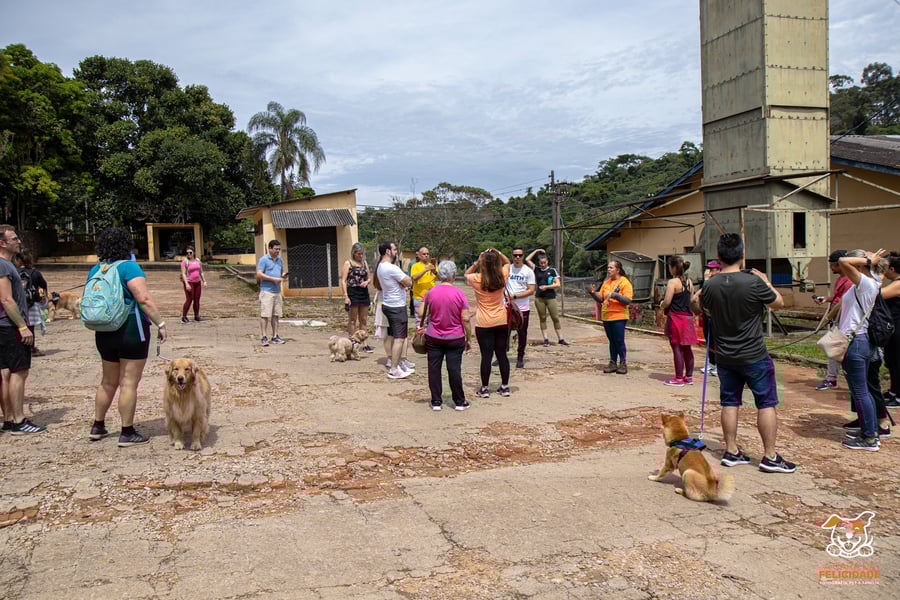 Fazenda Nossa Senhora Conceição pet friendly Jundiaí