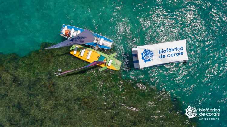 Balsa flutuante da Biofábrica de Corais, onde são realizados os cutivos