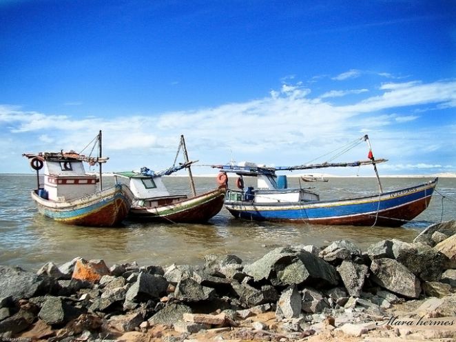 COMBO: SÃO JOSÉ DE RIBAMAR E RAPOSA (FRONHAS MARANHENSES)