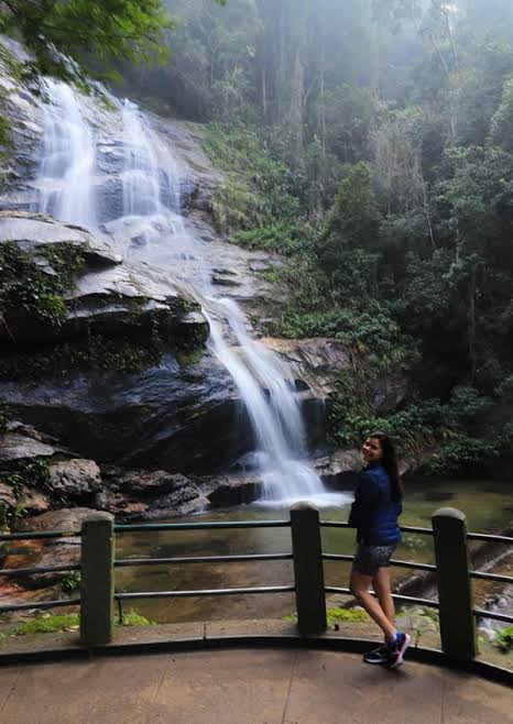 FLORESTA DA TIJUCA