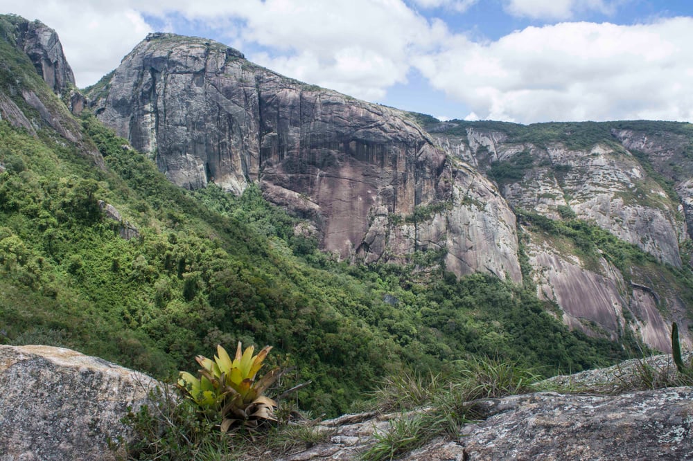 Torres de Bonsucesso