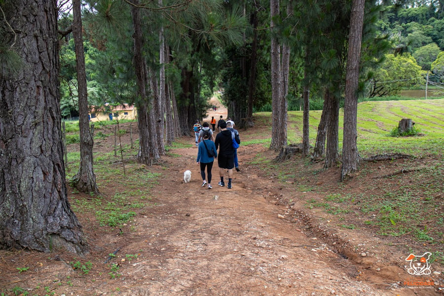 Fazenda Nossa Senhora Conceição pet friendly Jundiaí