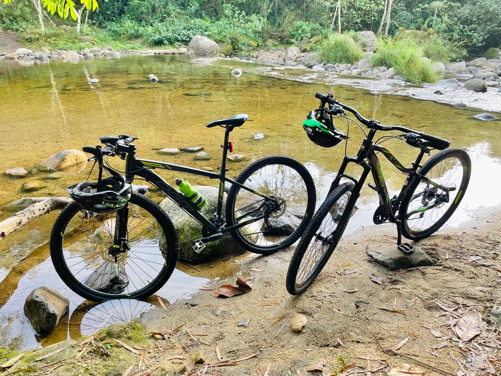 Quadro 17 e 15. Aro 29