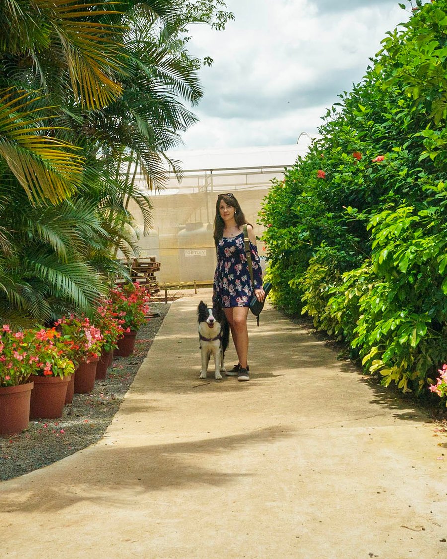 Passeio pelos campos de flores