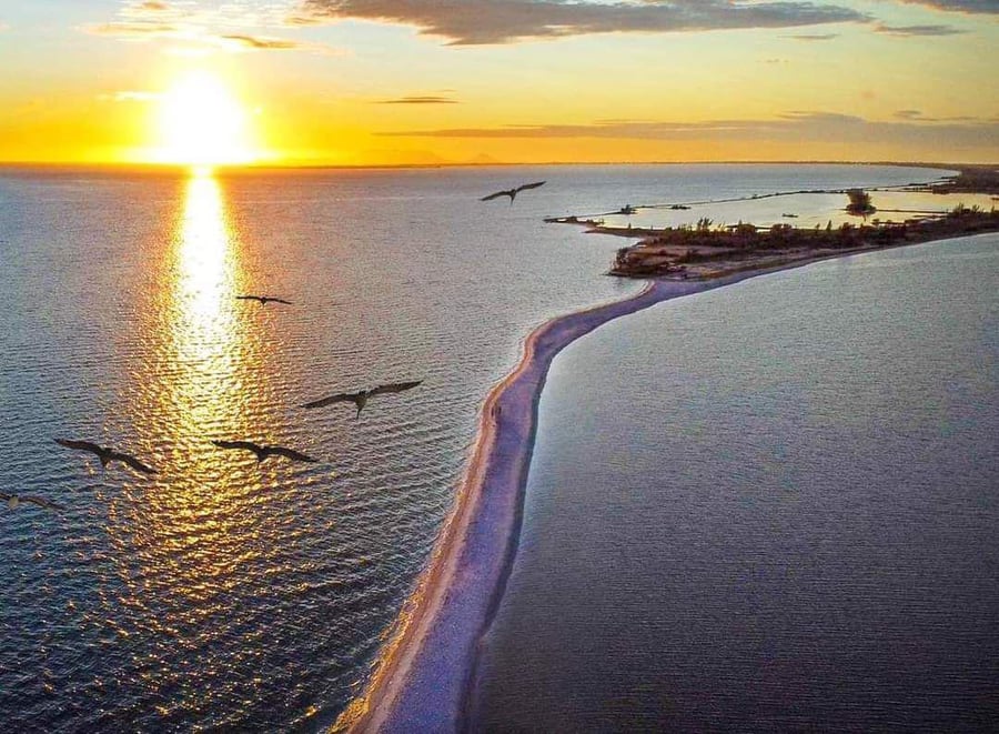 Passeio de Buggy - Alcaíra | Arubinha | Super Flor