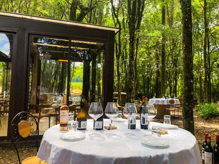 Degustação Essencial, Lidio Carraro Vinícola Boutique