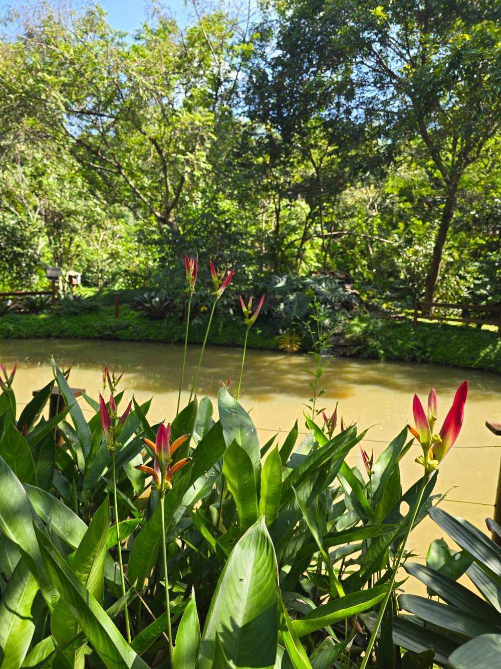 Trilha com crianças - lago