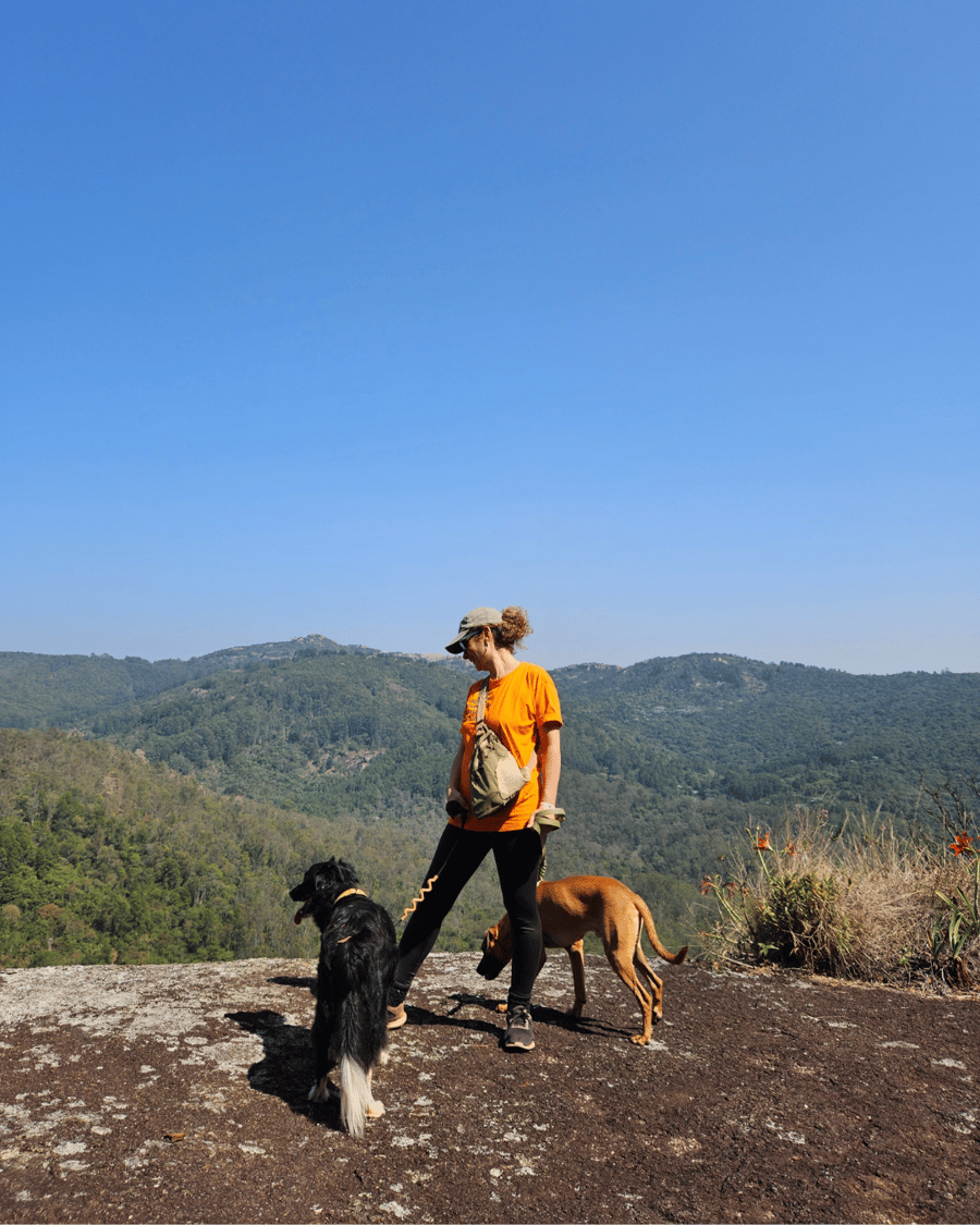 PedraGrande_petfriendly 7