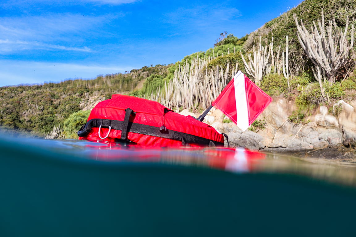 Snorkel com tartarugas em Arraial do Cabo