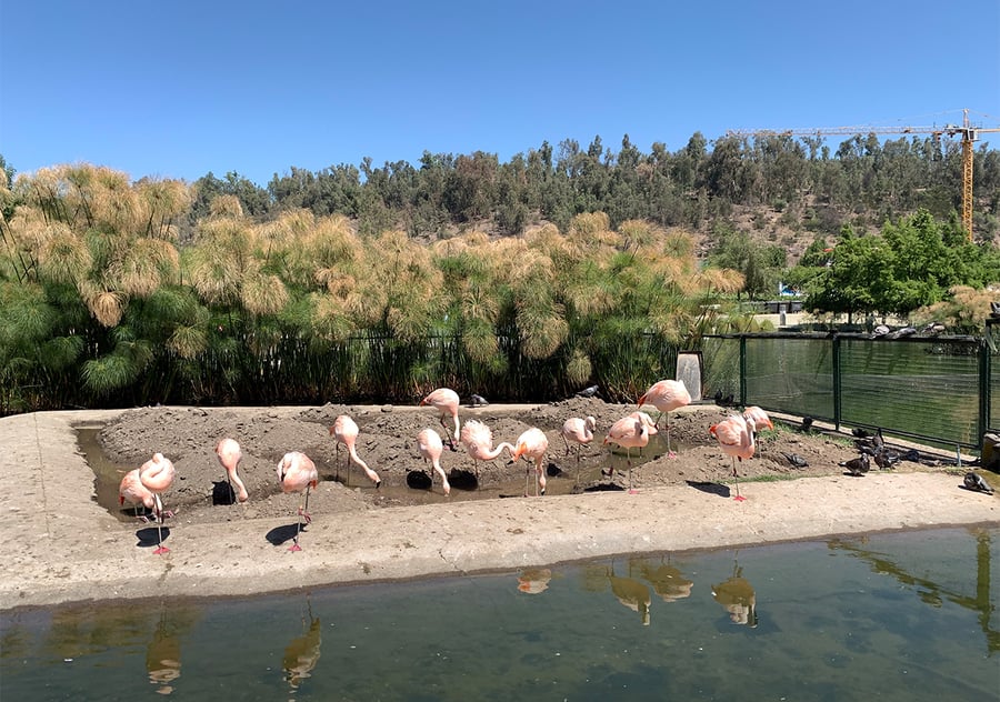 Cerro Santa Lucía: Um marco da cidade