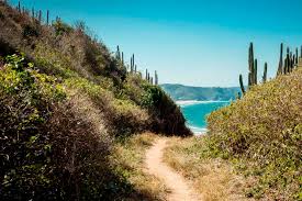 Trilhas que você vai adorar em Búzios.