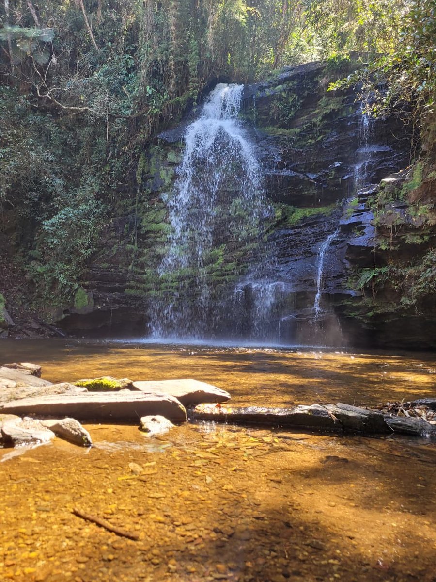 Cachoeira Macaco Doido