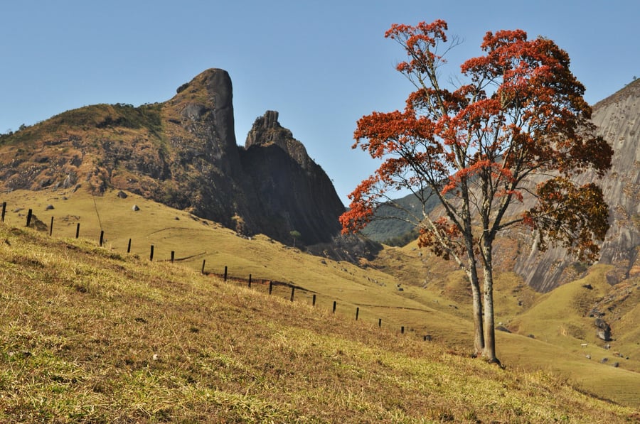 Dia 1 - Dois Bicos