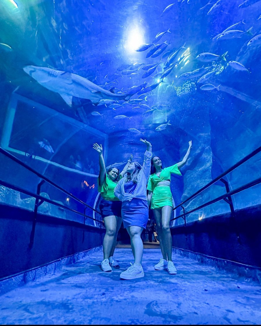  AquaRio Rio de Janeiro – Experiência Inesquecível no Maior Aquário da América do Sul