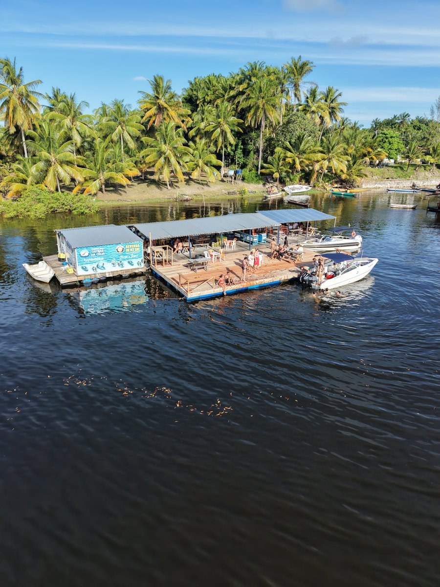     Uma experiência autêntica entre manguezais, sabores locais e as famosas ostras frescas.