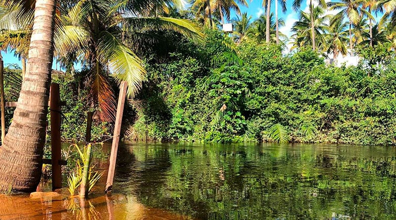 Bate Volta Imbassaí - Encontro do Rio com o mar 