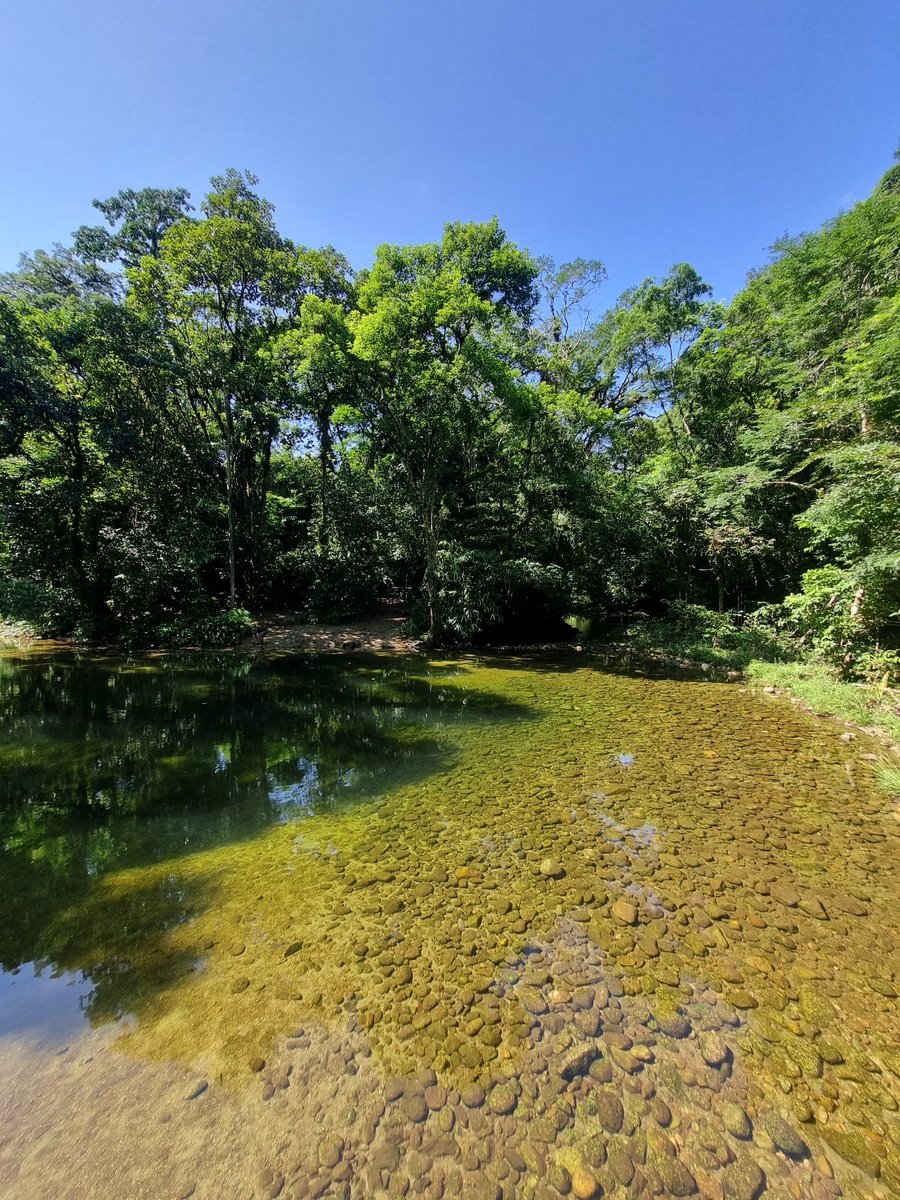 Poço do Limão