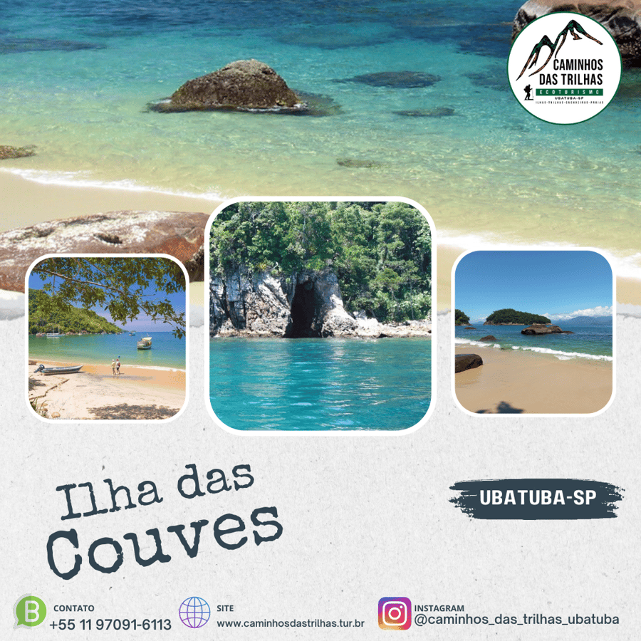 Guia Completo: Passeio Ilha das Couves em Ubatuba - Paraíso de Fauna e Águas Cristalinas