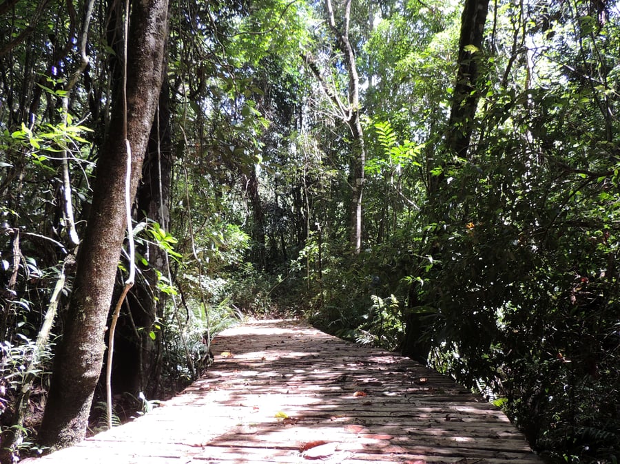 Bioparque e os Objetivos de Desenvolvimento Sustentável