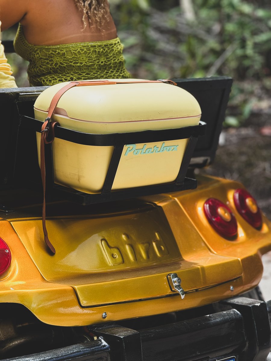     Polarbox com gelo e taças para o seu brinde