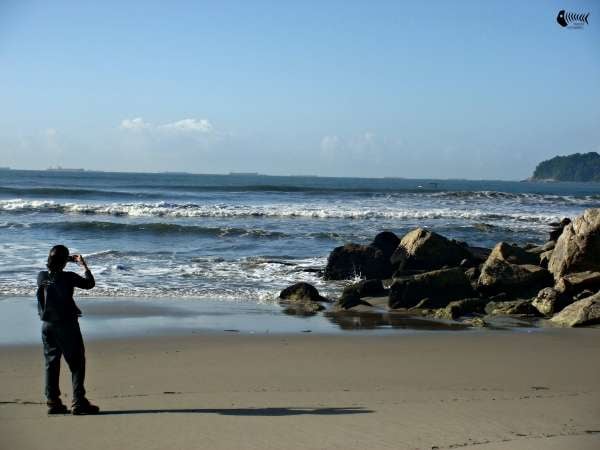 Parque Estadual Xixová Japuí - Trilha do Curtume - São Vicente e Praia Grande SP