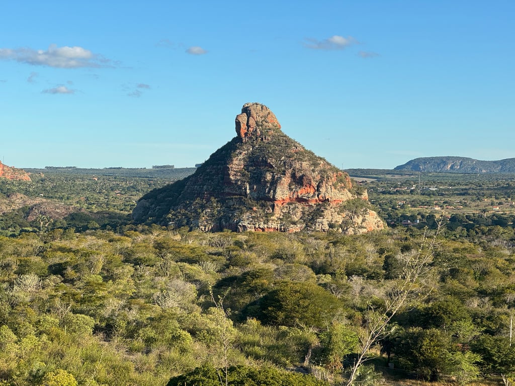 A Caatinga não é seca, ela é pura vida