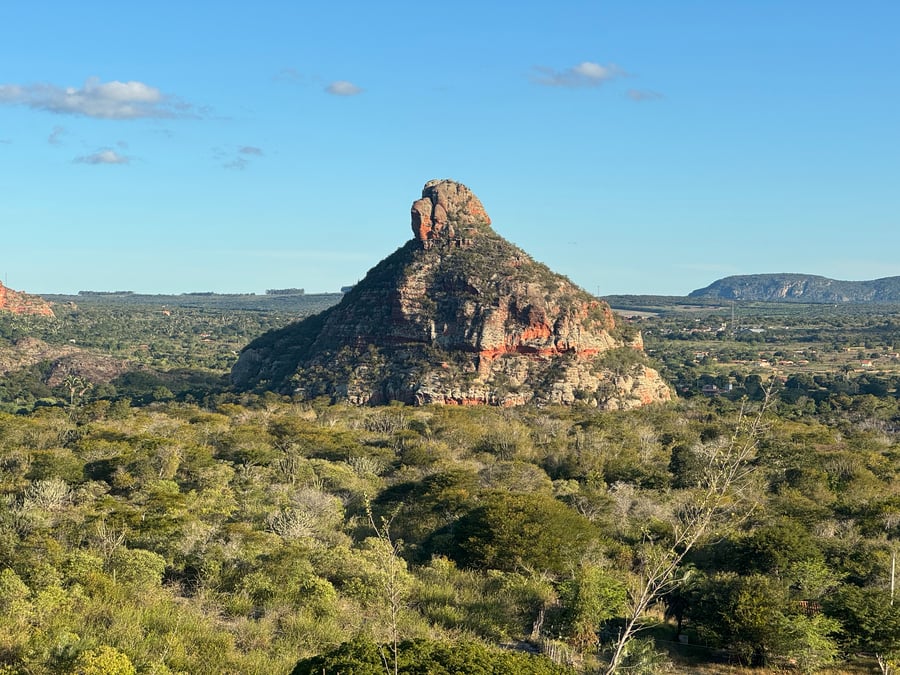 A Caatinga não é seca, ela é pura vida