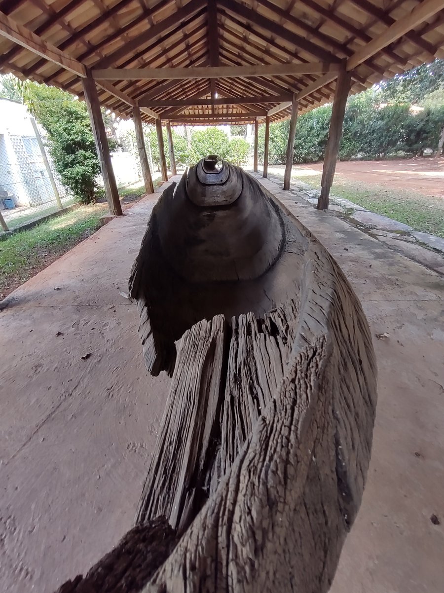 Canoa Bandeirista
