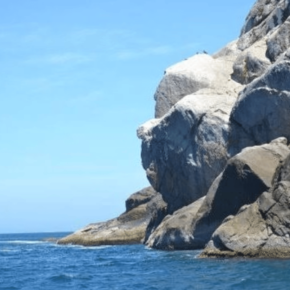 Passeio De Barco