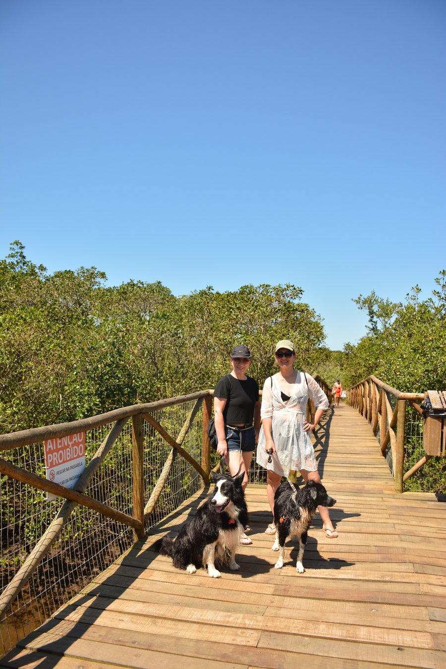 Aventura na praia Peruíbe pet friendly trilha, barco, pousada 