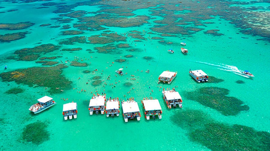 Excursão para Maceió/AL – Maragogi