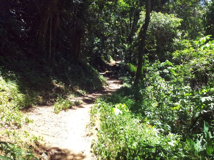 Aldeia Indígena Boa Vista