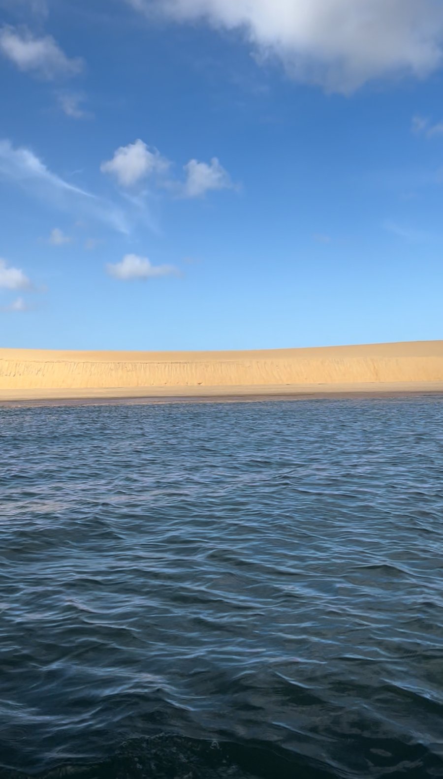 Foz  do rio São francisco