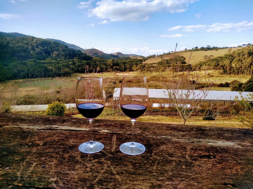 Entrevilas Vinícola e Gastronomia de 6 tempos