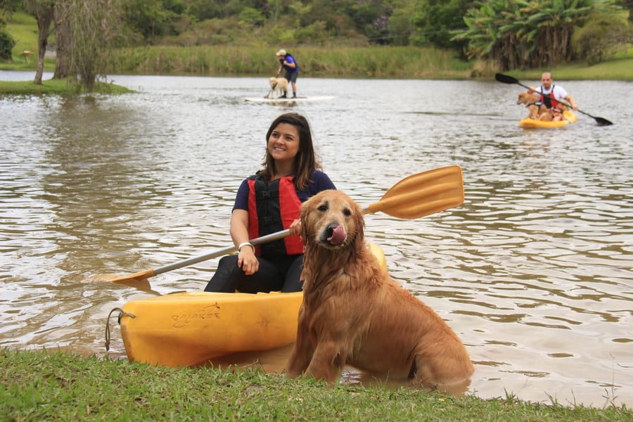 Day Use Aventura Pet com Trilha de Lama