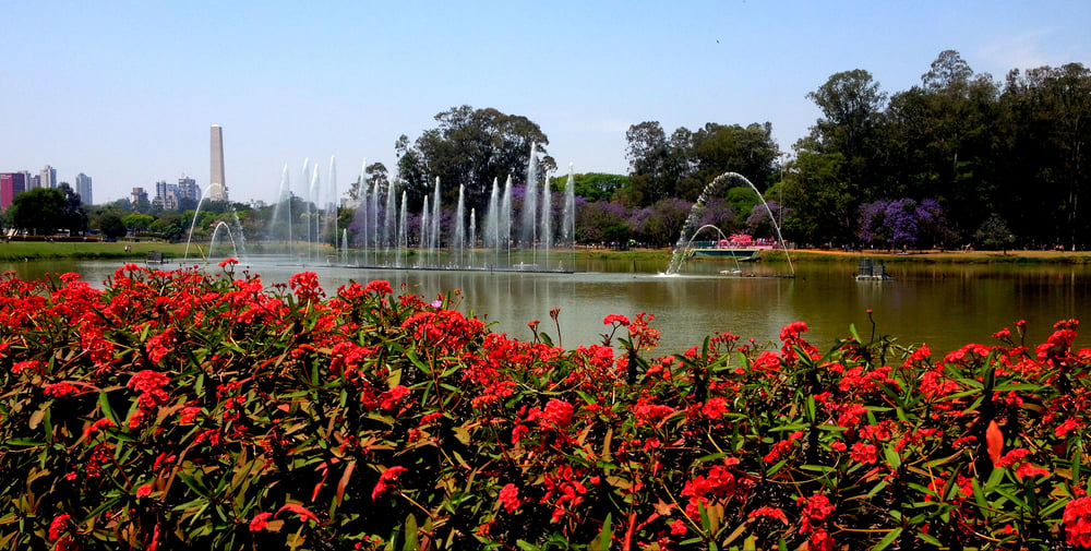 City Tour em São Paulo - 8 horas.