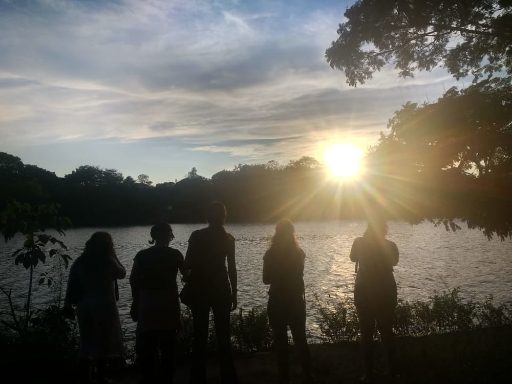 OBSERVAÇÃO DE AVES NO PARQUE HERMÓGENES FREITAS LEITÃO FILHO - BARÃO GERALDO