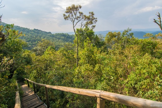 City Tour 4X4 com Pedra Redonda (famílias até 4 pessoas)