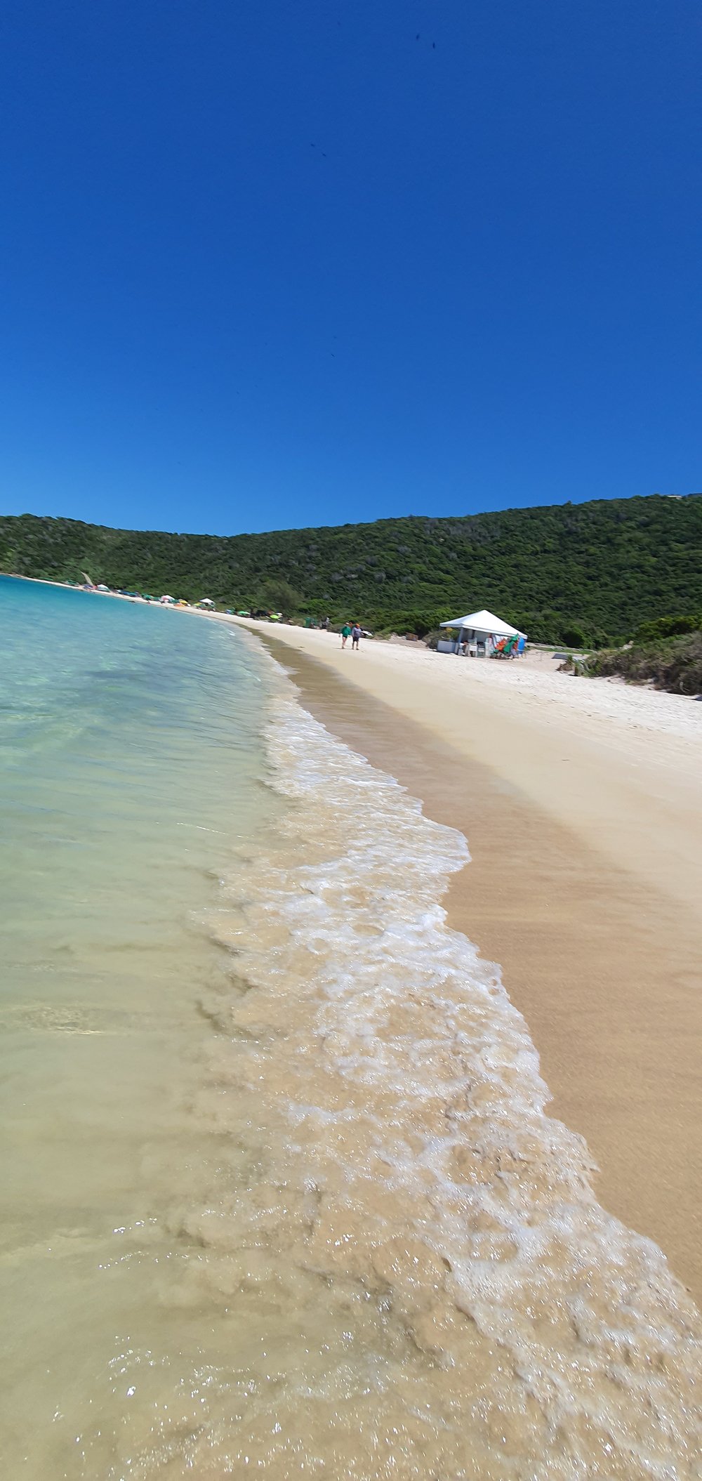 Passeio de Barco Arraial do Cabo - Caribe Brasileiro