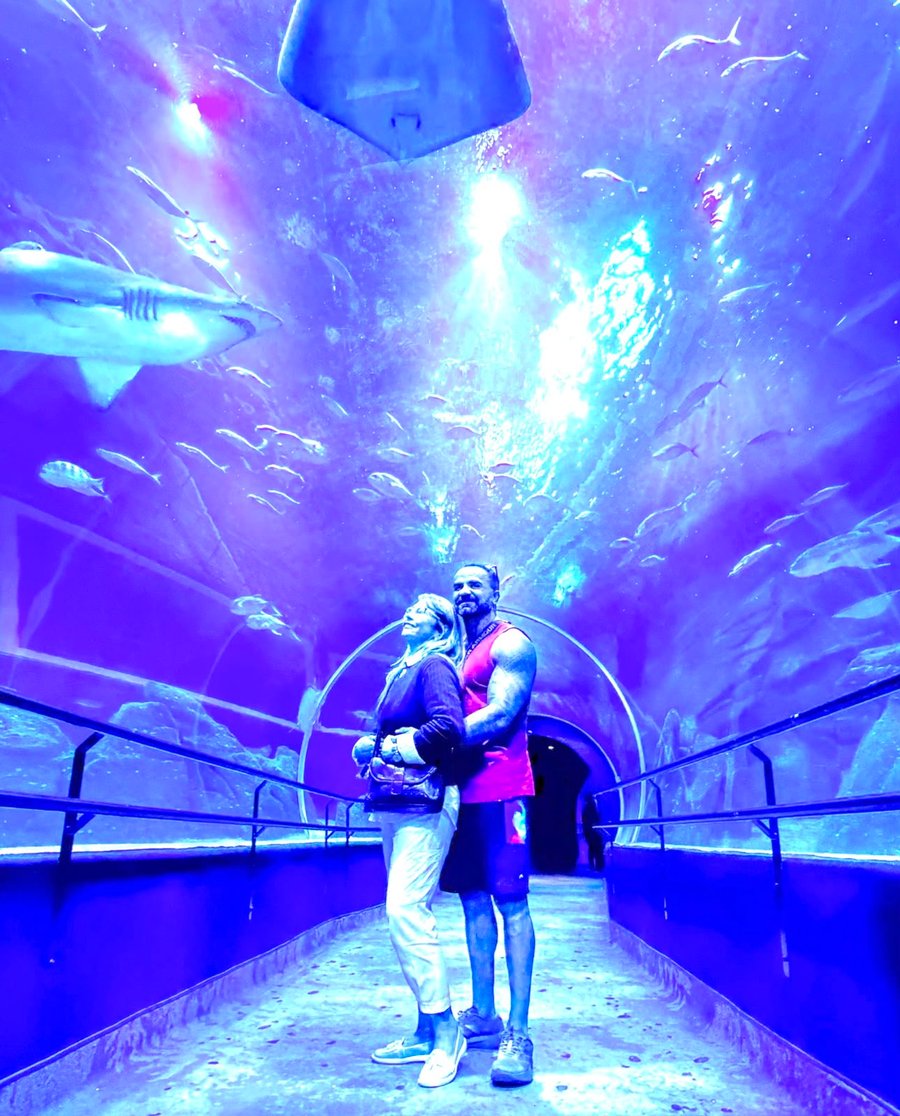 Passeio pelo AquaRio no Rio de Janeiro, uma experiência ideal para famílias, casais e viajantes que desejam conhecer as atrações mais visitadas da cidade.