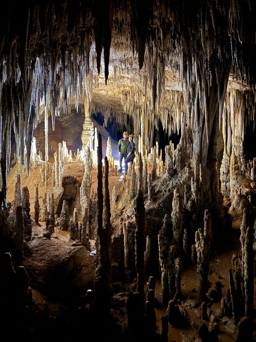 PASSEIO ERECTUS visual inédito