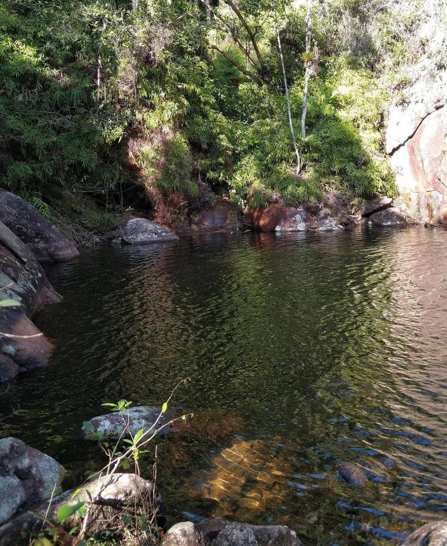 Caminhos da natureza