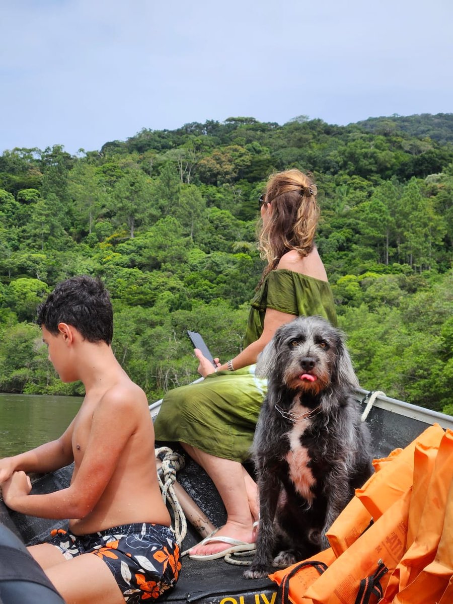 Aventura na praia Peruíbe pet friendly, trilha, barco, pousada