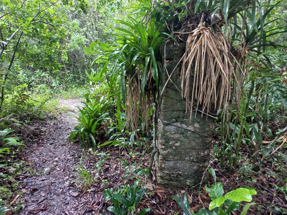 Caminhos das Trilhas Ecoturismo